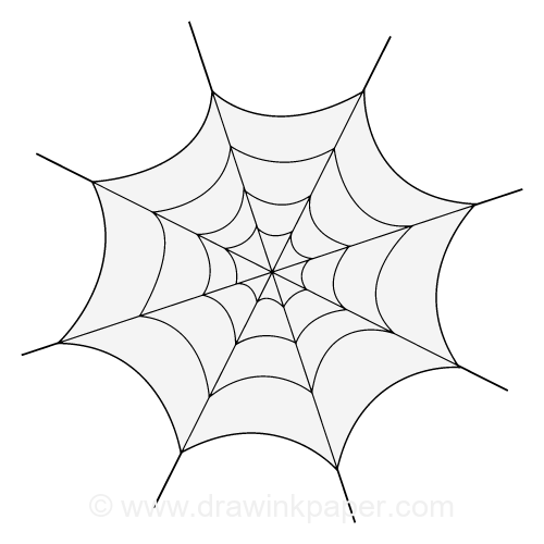 Drawing: Spider Web